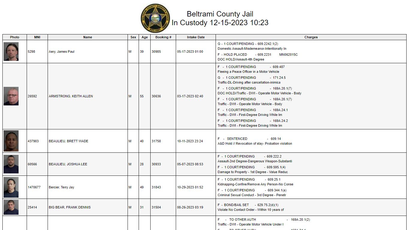 Custody - Beltrami County Minnesota